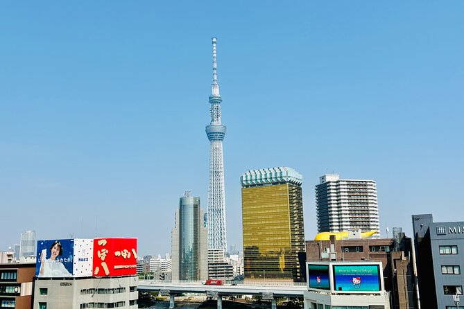 Tokyo Private Full-Day Tour by Luxury Alphard with Guide - Price, inclusions, and the two paid attractions