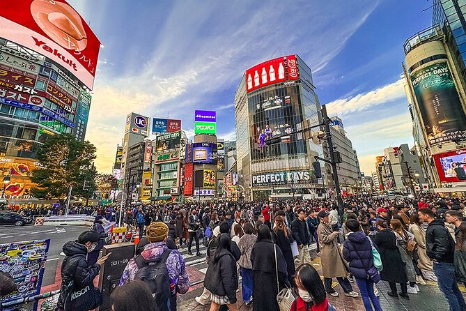 Tokyo Private Guided 1/2-Day Walking Subway Tour English guide - Private guide, hotel pickup, and the subway tricks you do not want to learn the hard way