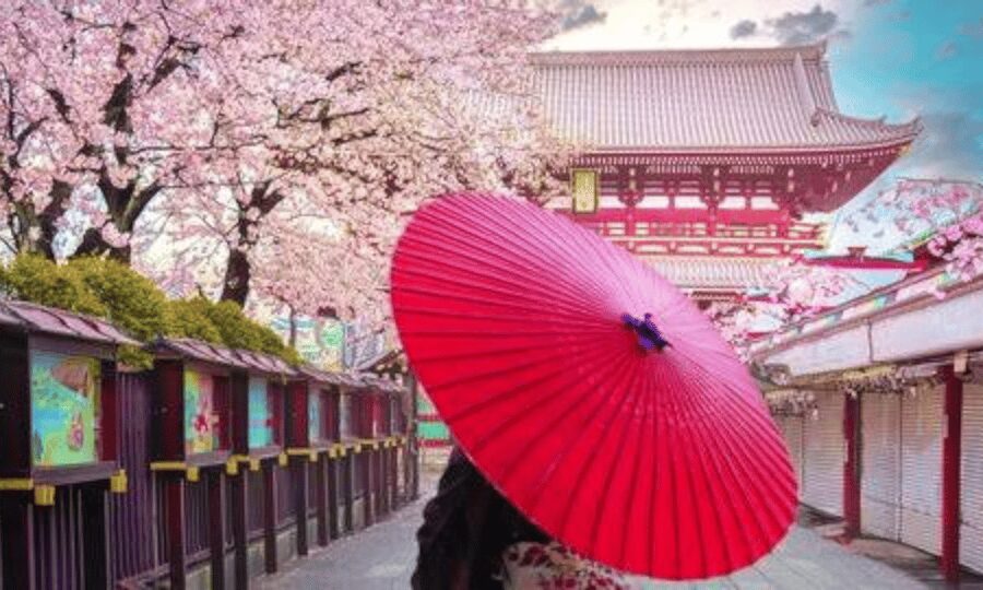Tokyo: Private Guided Tour with Hotel Pickup and Drop-off - Pickup to parking: keeping the schedule realistic