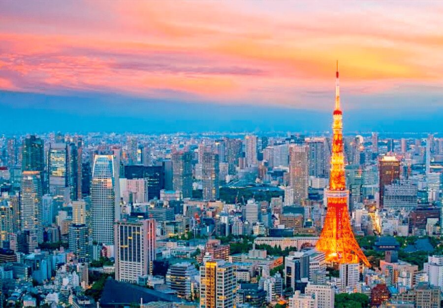 Tokyo: Private Guided Tour with Hotel Pickup and Drop-off - Shibuya City, Harajuku, and Odaiba: modern Tokyo with built-in decompression