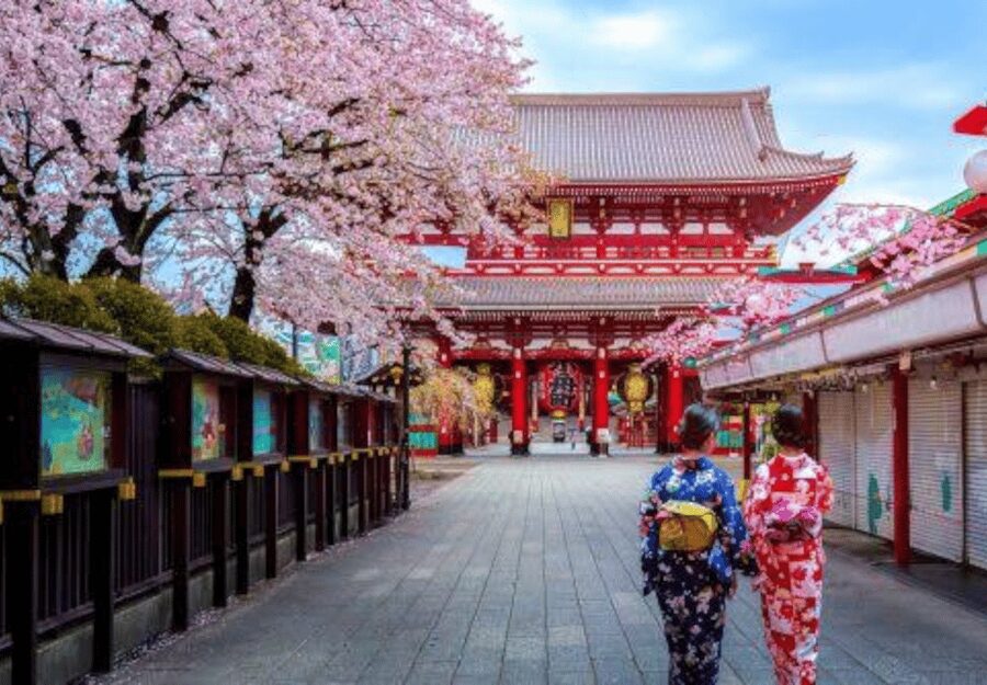 Tokyo: Private Guided Tour with Hotel Pickup and Drop-off - Guides can make or break a one-day Tokyo plan