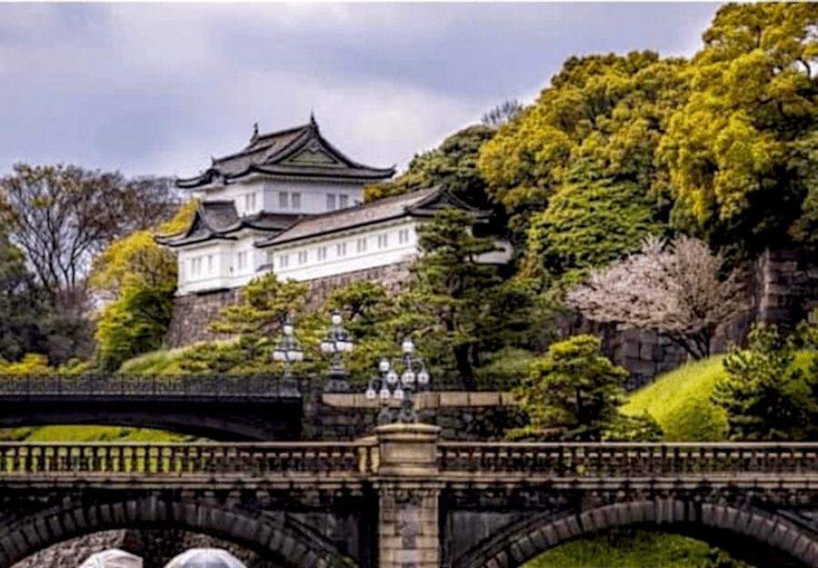 Tokyo: Private Guided Tour with Hotel Pickup and Drop-off - Price and logistics for a group of up to 6