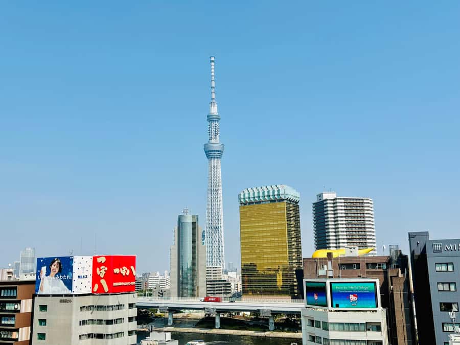 Tokyo: Private Half-Day Highlights Tour by Car with Guide - How flexibility works when traffic or weather changes