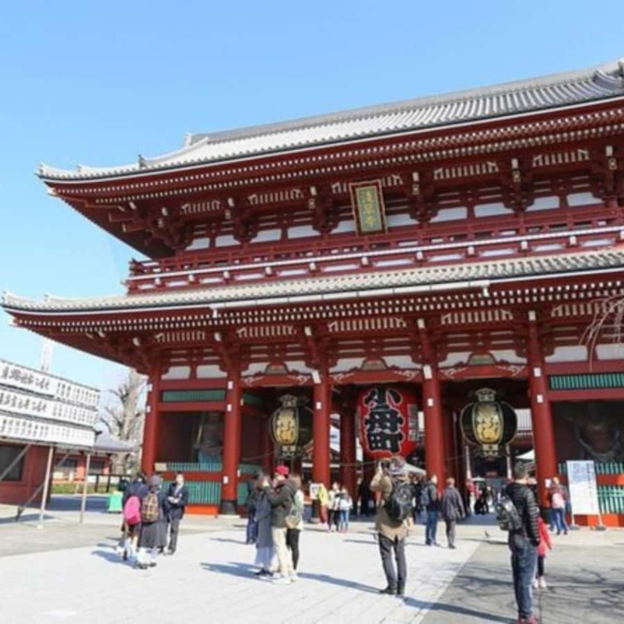 Tokyo: Private Instagramable Customised Tokyo City Day Tour - Key Highlights to Know Before You Go