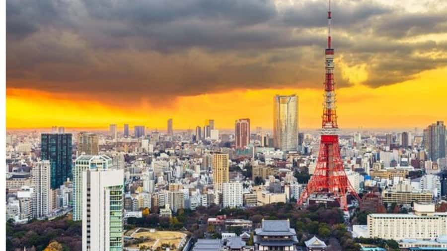 Tokyo: Private Instagramable Customised Tokyo City Day Tour - How This Private Tokyo Tour Really Feels (Luxury, Time, and Flex)