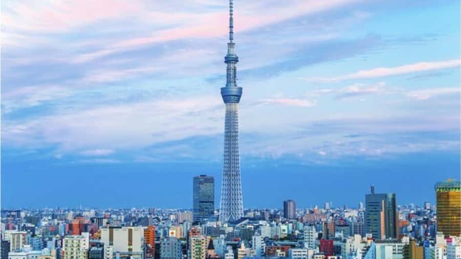 Tokyo: Private Instagramable Customised Tokyo City Day Tour - Meeting Your Driver and Getting Around Tokyo’s 23 Wards