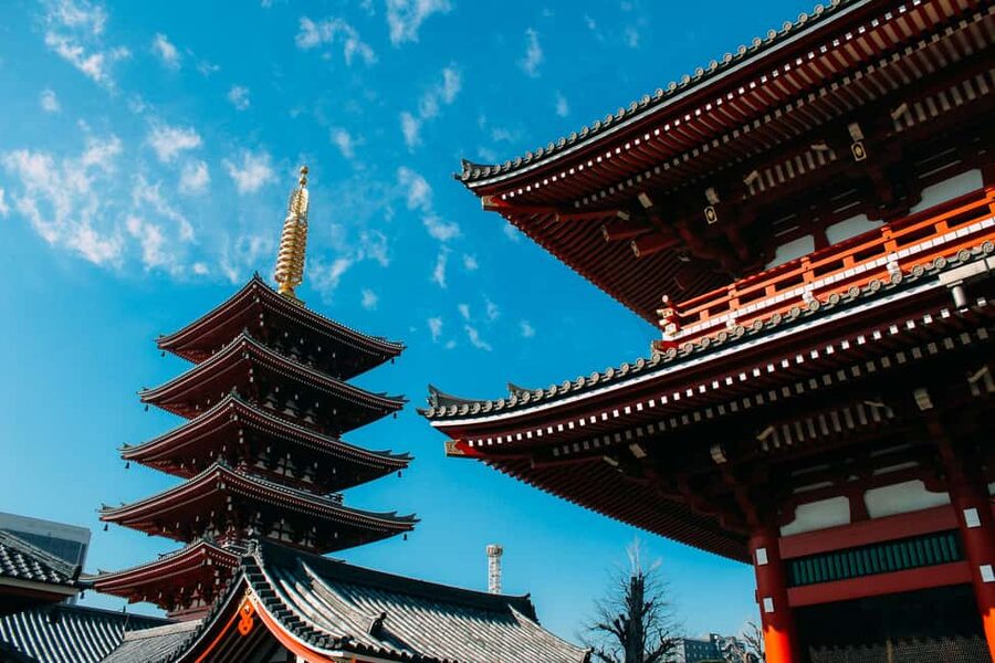 Tokyo Private Local Walking Tour (Must See Places in 1 Day) - Price and Logistics, What $51 Really Buys You