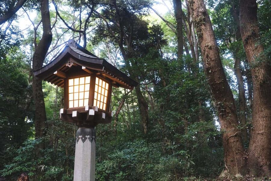 Tokyo: Private Meiji Shrine & Harajuku Highlights Tour - How the guide changes the whole experience