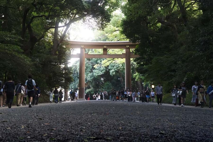 Tokyo: Private Meiji Shrine & Harajuku Highlights Tour - Who should book this private tour