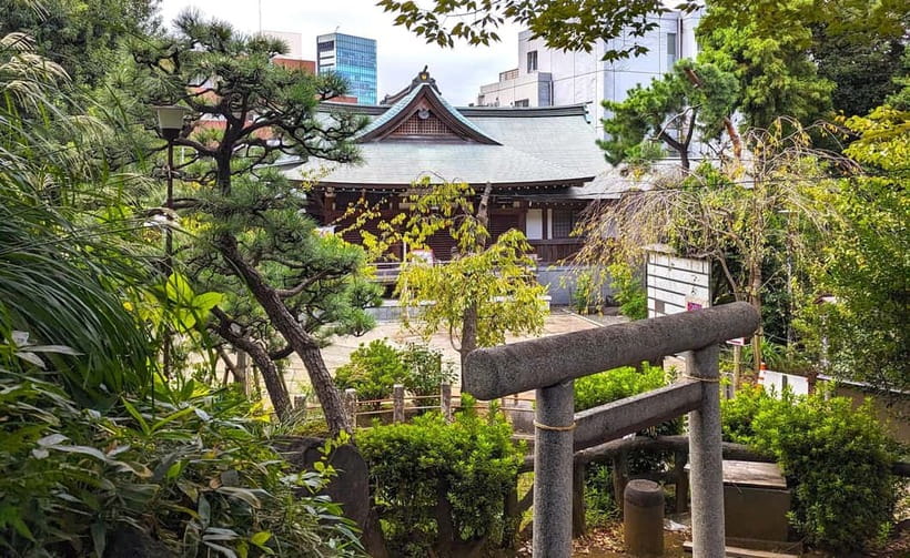 Tokyo: Private Morning Run with Sento Bath Experience - A 2-hour Tokyo morning run that starts before the city does