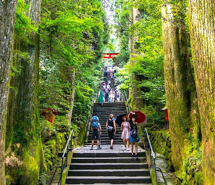 Tokyo: Private Mount Fuji and Hakone Day Trip with Guide - Private van pacing: why this day trip feels different from a group bus