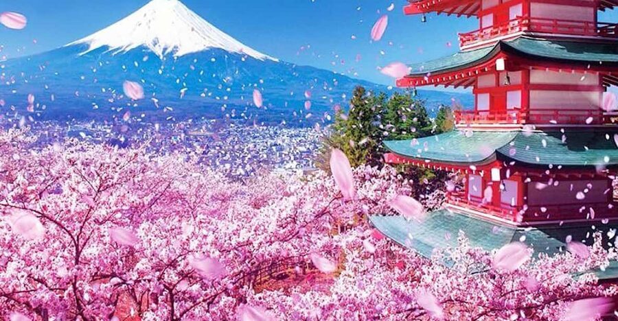 Tokyo: Private Mount Fuji and Hakone Day Trip with Guide - Lake Kawaguchi, Oishi Park, and Chureito Pagoda: where the photos meet the timing reality