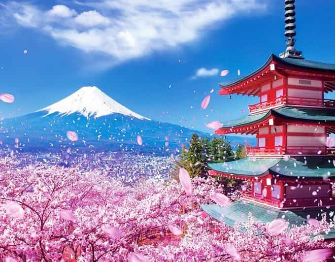 Tokyo: Private Mount Fuji and Hakone Day Trip with Guide - Getting to Mt. Fuji 5th Station (Komitake Baiten): the stop people plan around