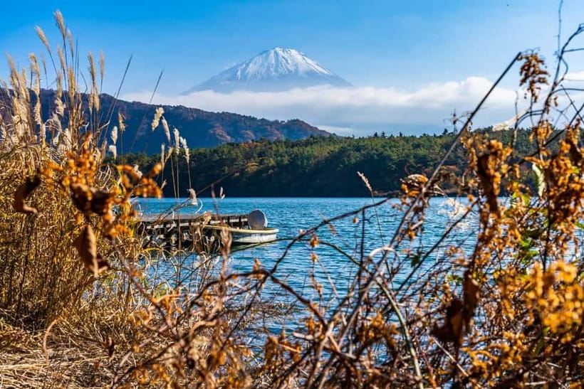 Tokyo: Private Mount Fuji Day Trip with Private Guide - Price and logistics: what $520 gets you for up to six