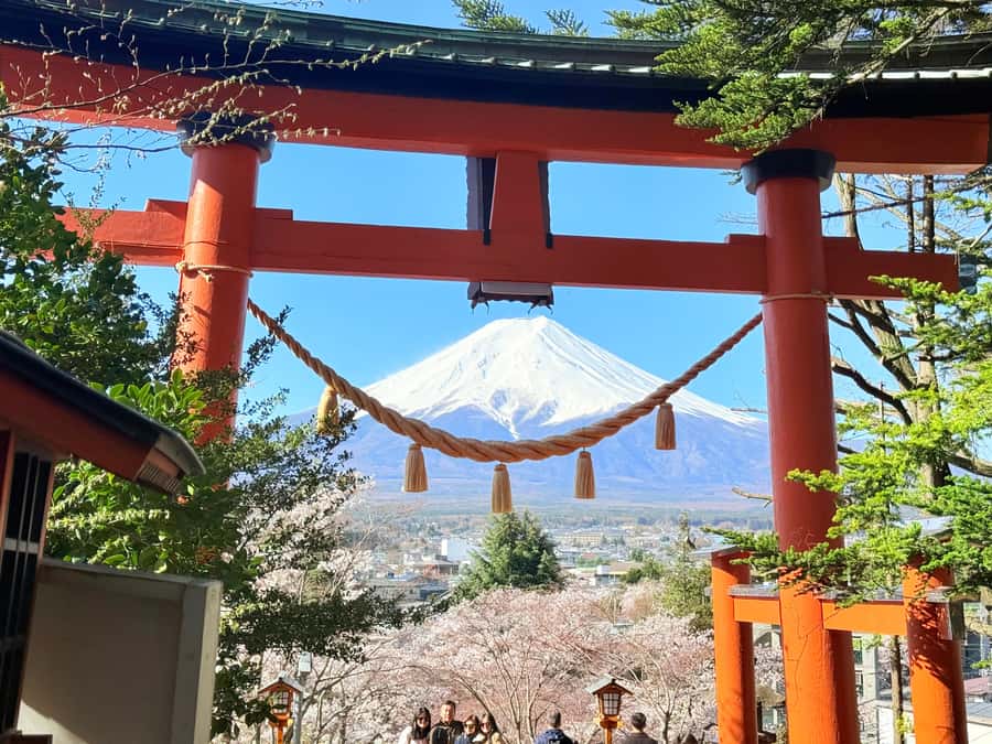 Tokyo: Private Mount Fuji Tour with Pickup and Drop-Off - Hotel Pickup to Fuji Views in an Air-Conditioned Van