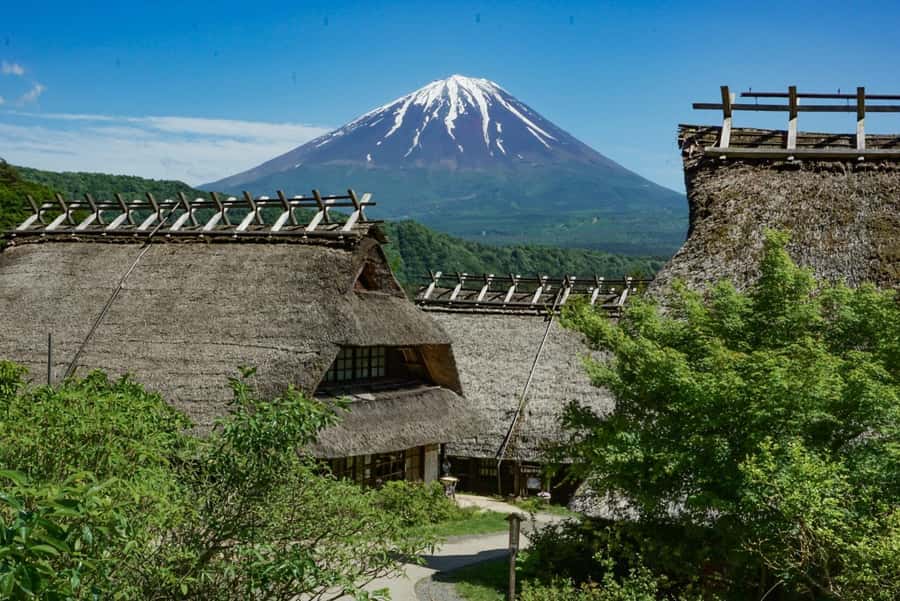 Tokyo: Private Mount Fuji Tour with Pickup and Drop-Off - The 5th Station Decision: Worth It, But Plan for Change