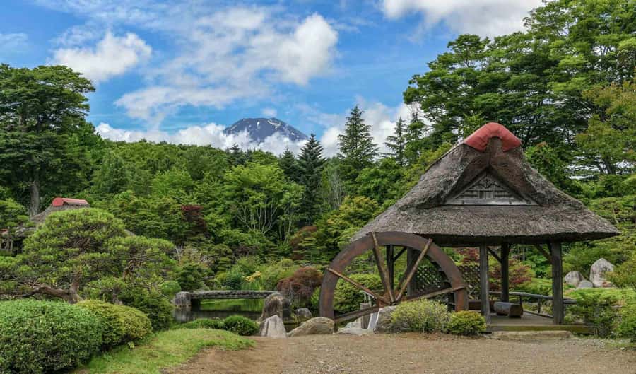 Tokyo: Private Mount Fuji Tour with Pickup and Drop-Off - Other Stops Your Guide Can Add When the Day Calls for It