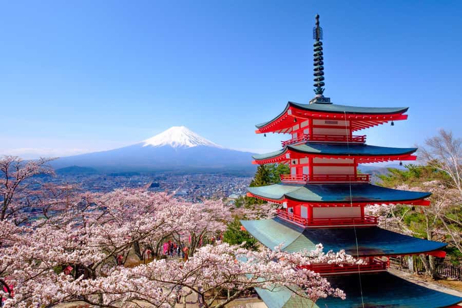 Tokyo: Private Mt.Fuji Day Trip with English-Speaking Driver - Key highlights to know before you go