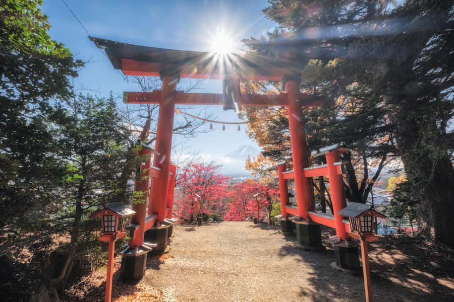 Tokyo: Private Mt.Fuji Day Trip with English-Speaking Driver - Private Tokyo to Mt. Fuji: why this format works