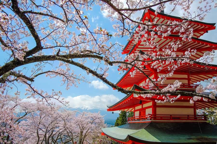 Tokyo: Private Mt.Fuji Day Trip with English-Speaking Driver - Chureito Pagoda: the Fuji postcard you can actually enjoy