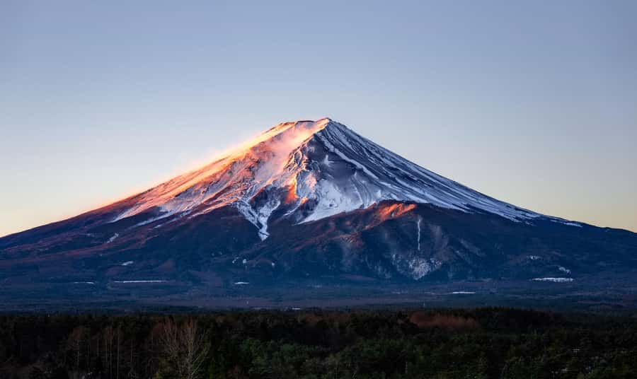 Tokyo: Private Mt.Fuji Day Trip with English-Speaking Driver - Kitaguchi-hongu Fuji Sengen Shrine: culture in a calm setting