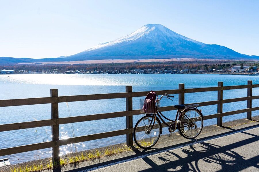 Tokyo: Private Mt.Fuji Day Trip with English-Speaking Driver - Lake Kawaguchi and Oishi Park: flowers, snacks, and easy walking