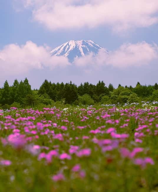 Tokyo: Private Mt. Fuji Luxury Day Tour – Fully Customizable - Price and what you really get for $387 per group
