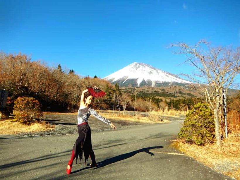 Tokyo: Private Mt. Fuji Luxury Day Tour – Fully Customizable - Pickup in Tokyo without the stress tax