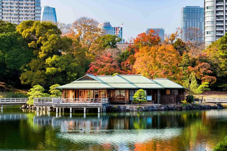 Tokyo: Private Night Tour with English-Speaking Driver - Tokyo Station and Ginza: polished Tokyo between neon blocks