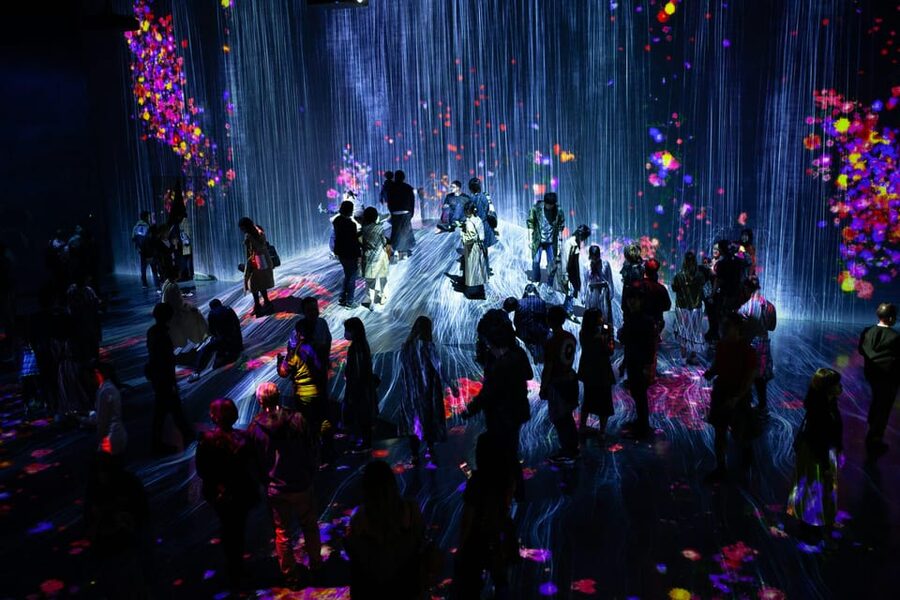 Tokyo: Private Night Tour with English-Speaking Driver - Omotesando, Shibuya Scramble Crossing, and then Shinjuku’s night maze