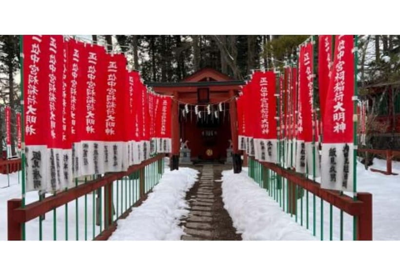 Tokyo: Private Nikko Sightseeing Tour In Luxury Land Cruiser - Who This Private Nikko Tour Fits Best