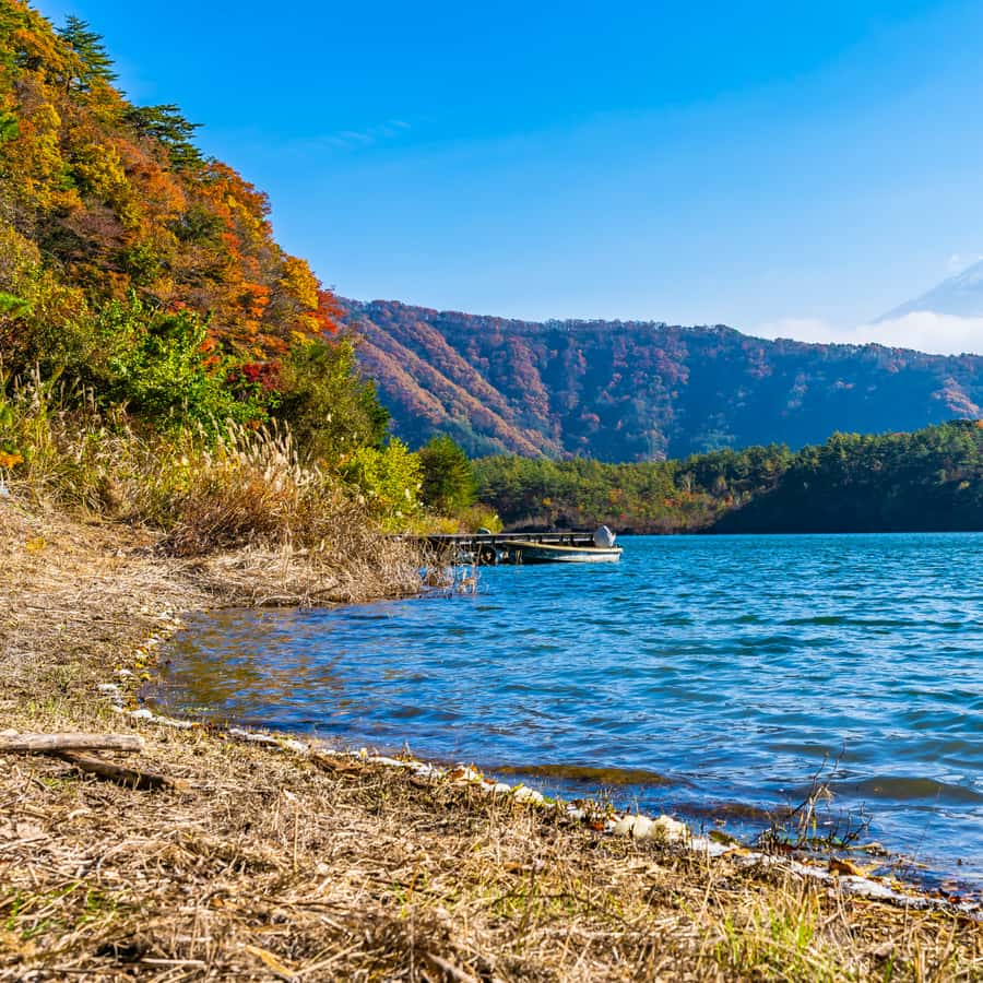 Tokyo: Private Nikko World Heritage Instagramable Day Tour - Lake Chuzenji: Big Air, Quiet Water, and a View Break