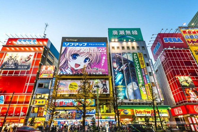 Tokyo Private Off-Beat Tour Hidden Oddities & Icons with a Local - Key highlights worth planning around
