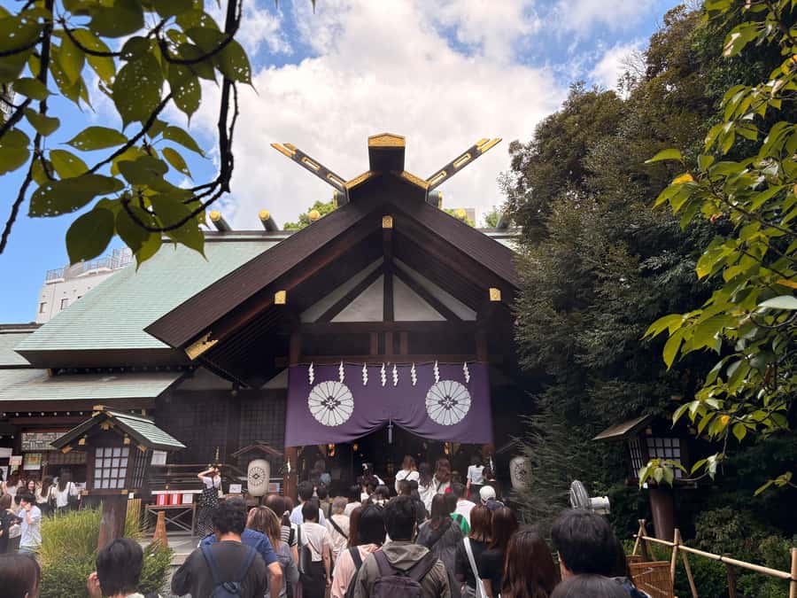 Tokyo: Private Shinto Shrines Tour by Car with Local Guide - A half-day that balances comfort and spiritual focus