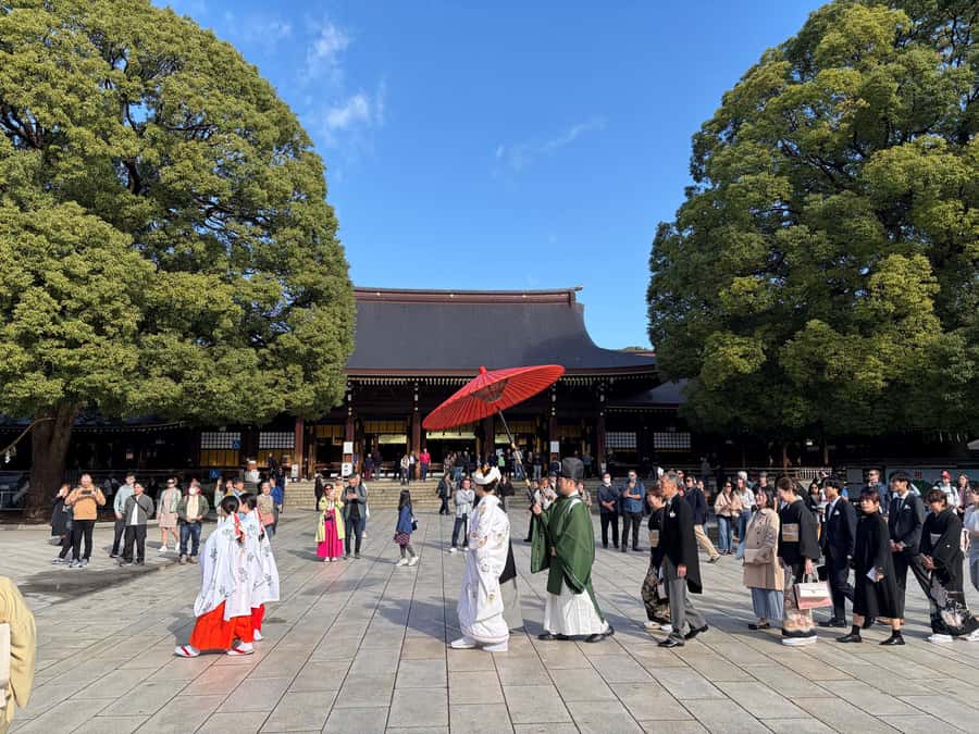 Tokyo: Private Shinto Shrines Tour by Car with Local Guide - Hie Shrine: red torii gates and relationship blessings