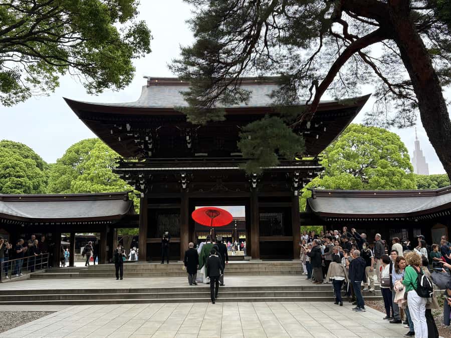 Tokyo: Private Shinto Shrines Tour by Car with Local Guide - Goshuin stamps: the keepsake you can actually feel