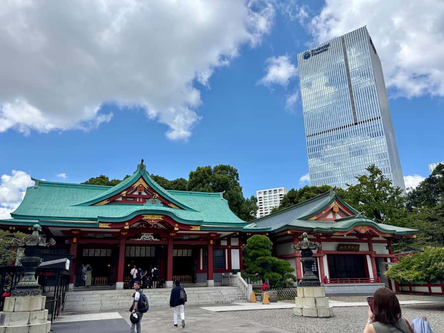 Tokyo: Private Shinto Shrines Tour by Car with Local Guide - Price and value: $248 per group up to 3