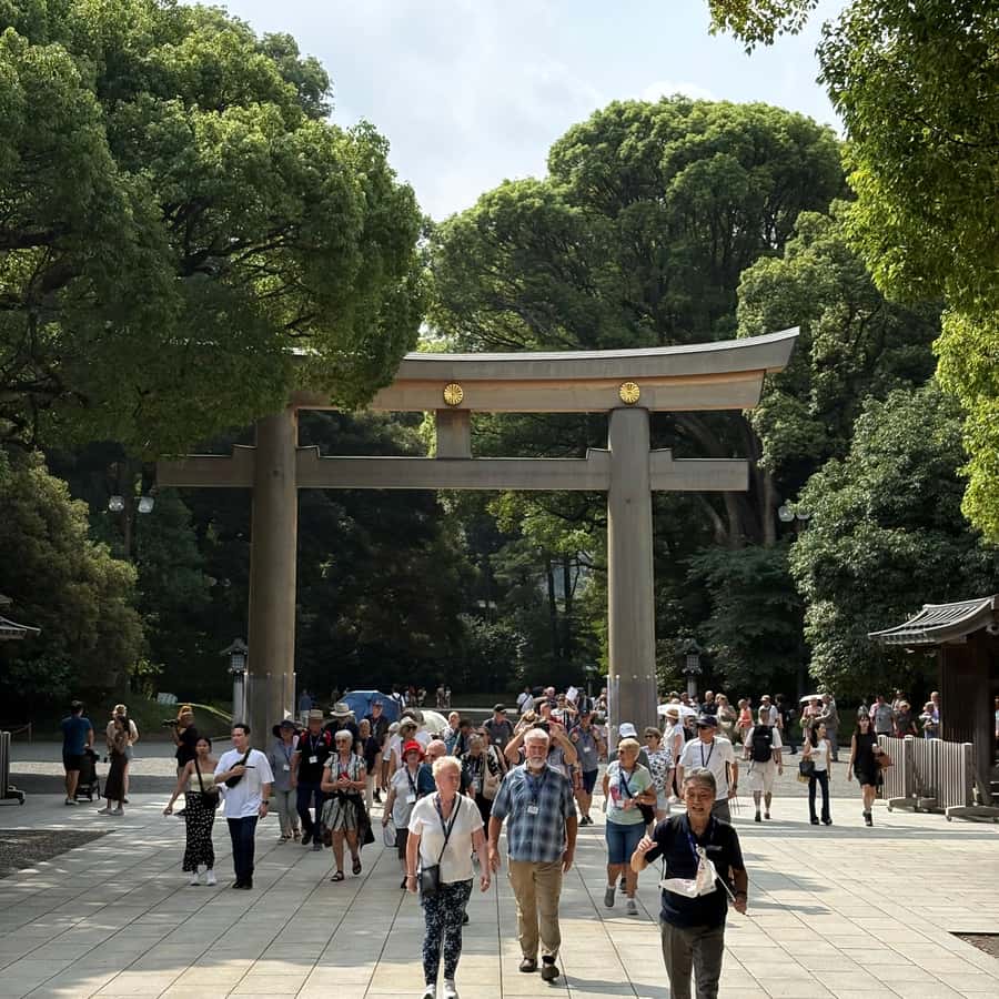 Tokyo: Private Shinto Shrines Tour by Car with Local Guide - Meiji Shrine: forest calm in the middle of the city