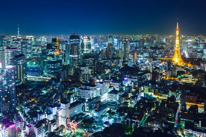Tokyo Private Sightseeing Tour by Car and English Speaking Driver - Key Highlights to Know Before You Ride
