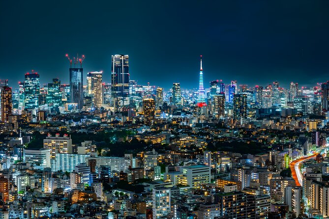 Tokyo Private Sightseeing Tour by Car and English Speaking Driver - Tsukiji Fish Market Area, where You Eat and Wander