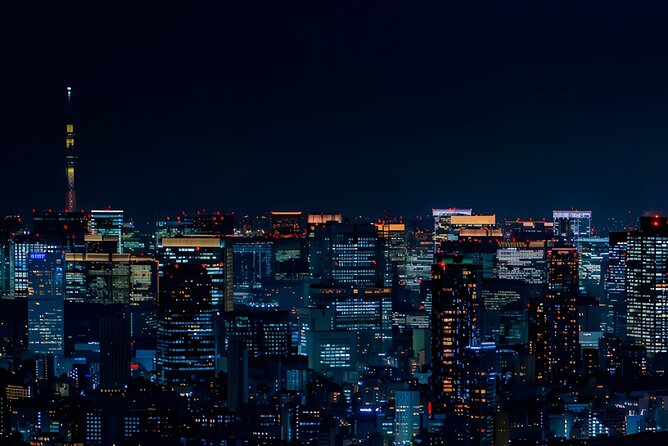 Tokyo Private Sightseeing Tour by Car and English Speaking Driver - Tokyo Tower to Meiji Jingu: Skyline Views then Forest Silence