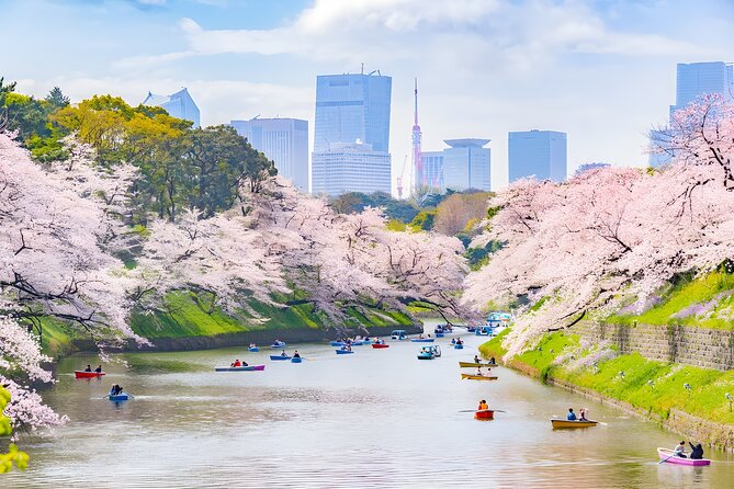 Tokyo Private Sightseeing Tour by Car and English Speaking Driver - Harajuku Energy: Takeshita Street and Omotesando