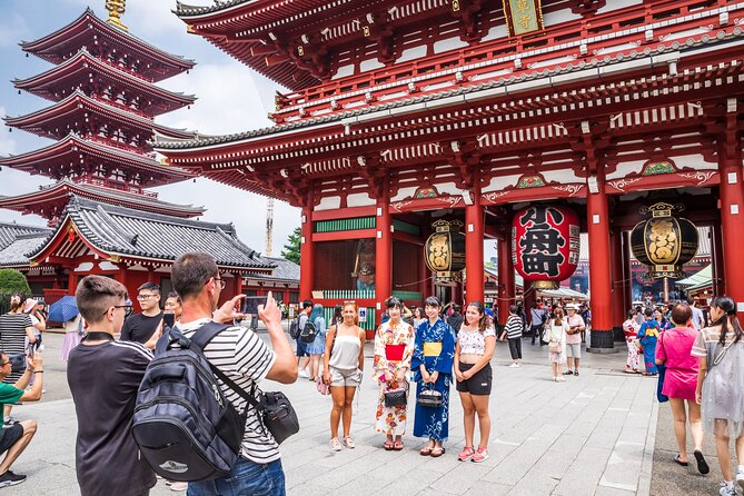 Tokyo Private Sightseeing Tour by Car- English speaking chauffeur - The real value of a private Tokyo day by car