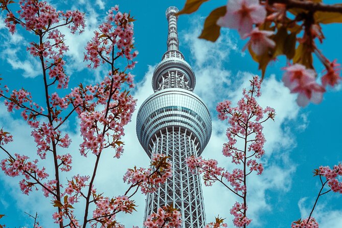Tokyo Private Sightseeing Tour by Car- English speaking chauffeur - Tokyo Skytree: the height fix, plus ticket planning