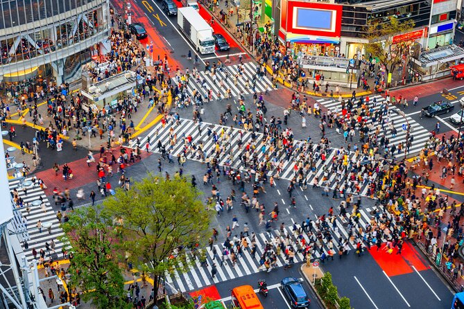 Tokyo Private Sightseeing Tour by Car - English speaking driver - Key Things That Make This Tour Work So Well