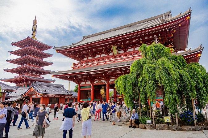 Tokyo Private Sightseeing Tour by Car - English speaking driver - Tokyo Skytree: Choose the Skyline Mood (Paid Entry)