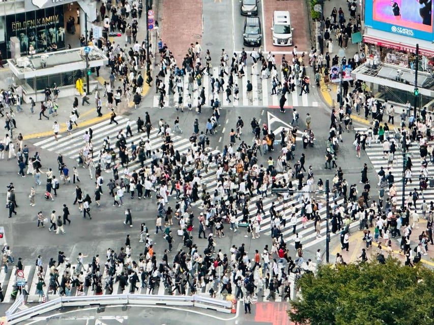 Tokyo: Private Tailored Tour with a Local Guide - Asakusa and Sensō-ji: Red Lanterns and the Most Enjoyable Kind of Chaos