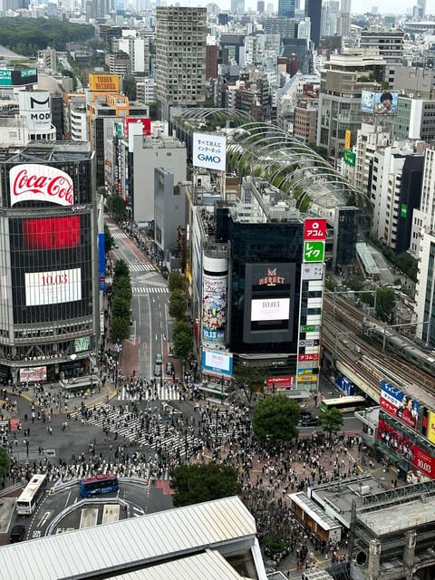 Tokyo: Private Tailored Tour with a Local Guide - Shinjuku Views at the Metropolitan Government Building and Omoide Yokocho