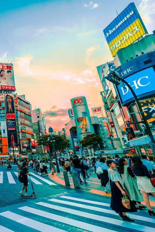 Tokyo: Private Tailored Tour with a Local Guide - How Meeting and Guiding Actually Works