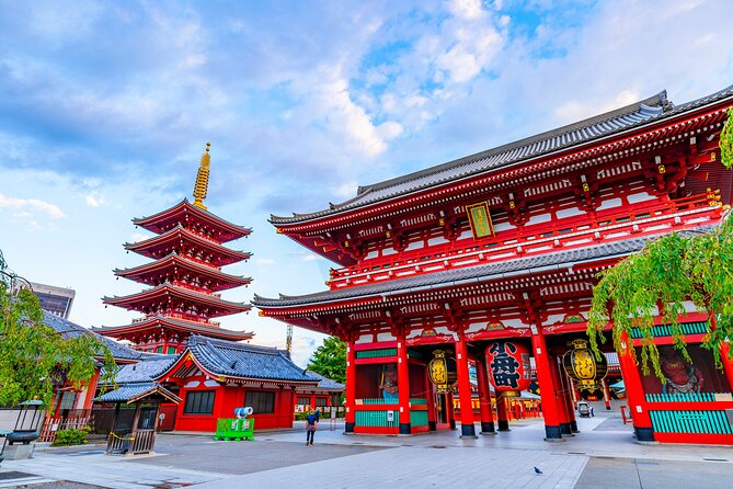 Tokyo Private Tour - Meiji Jingu Shrine Break: A Reset From the Streets